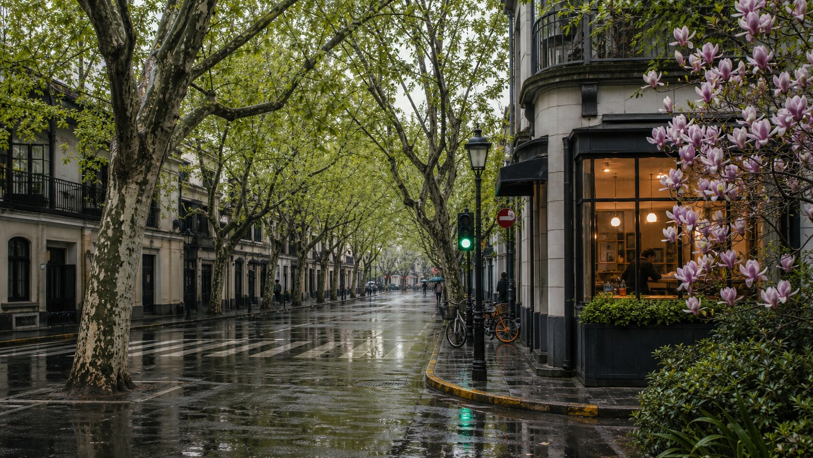 Shanghai spring street with plane trees, wet pavement, old lane houses, magnolia blossoms, and soft window light