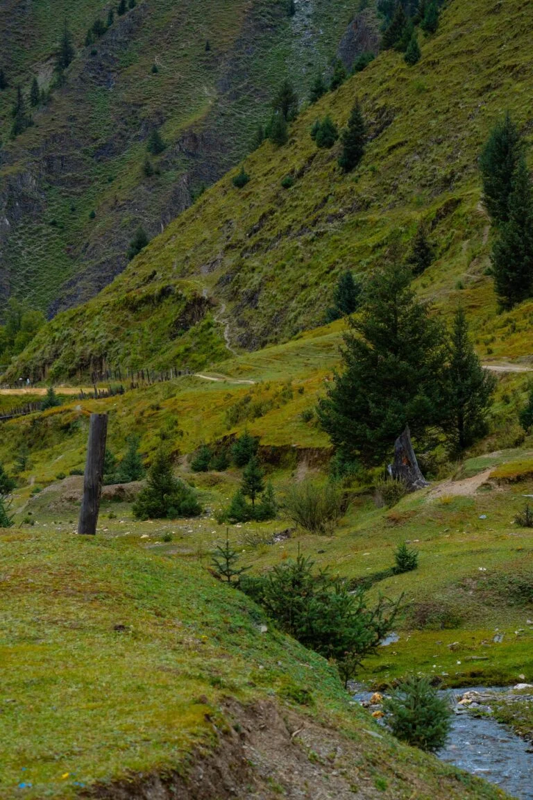 DSC05233