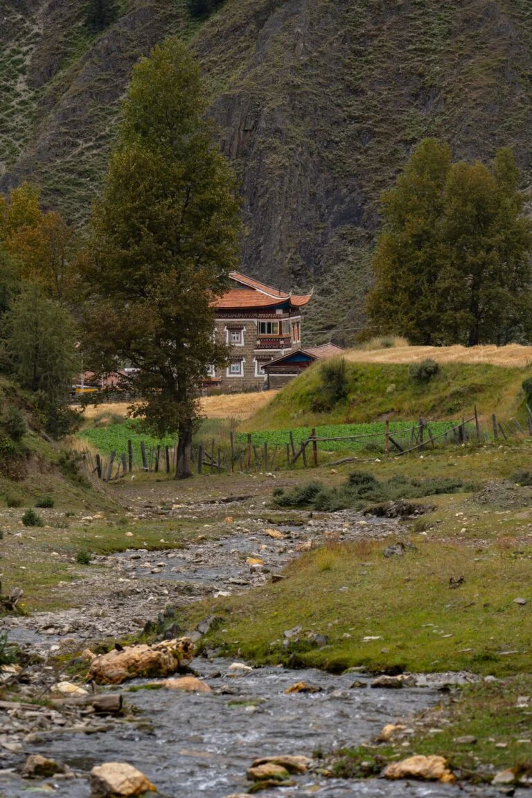 DSC05241