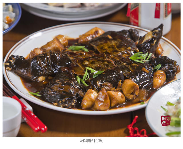 Stewed Turtle in Rock Sugar