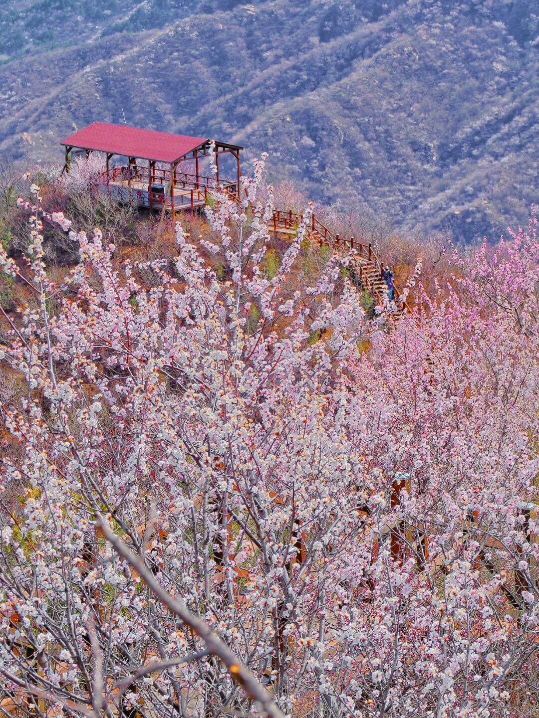 Beijing in April
