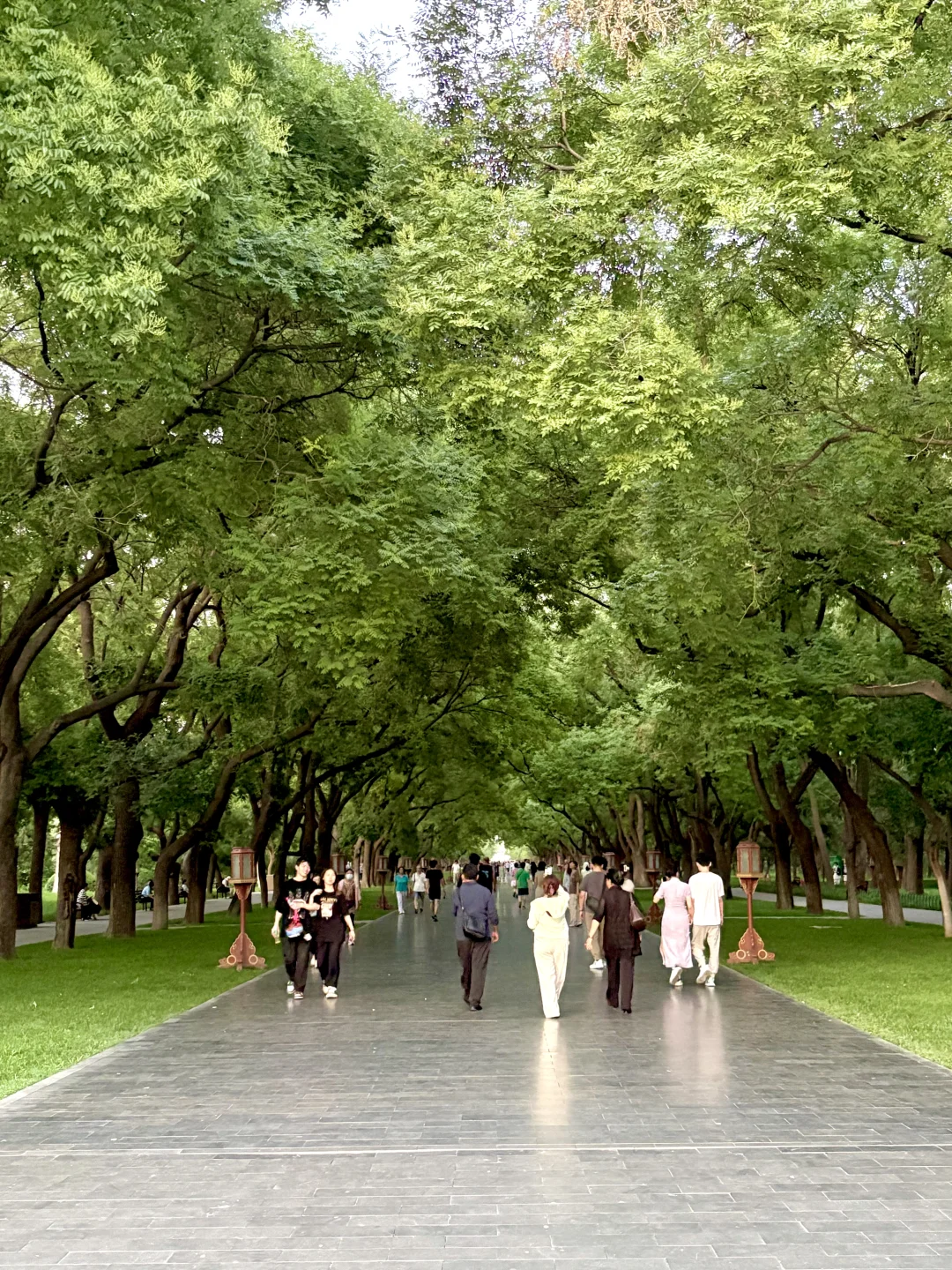 Pathway in Beijing Sky Park with green trees and evening sunlight