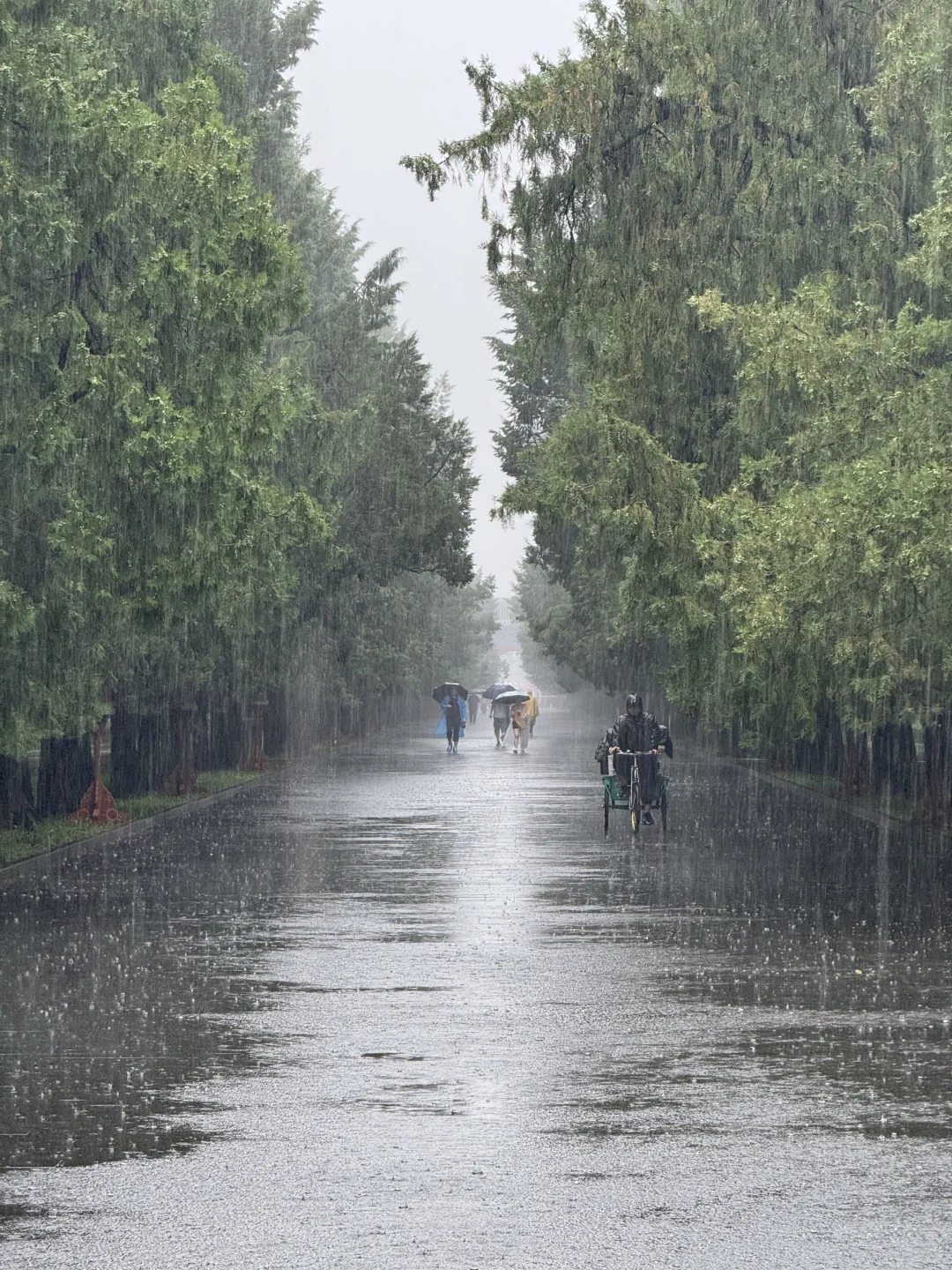 Photographer preparing equipment for a rainy day photoshoot at West Gate