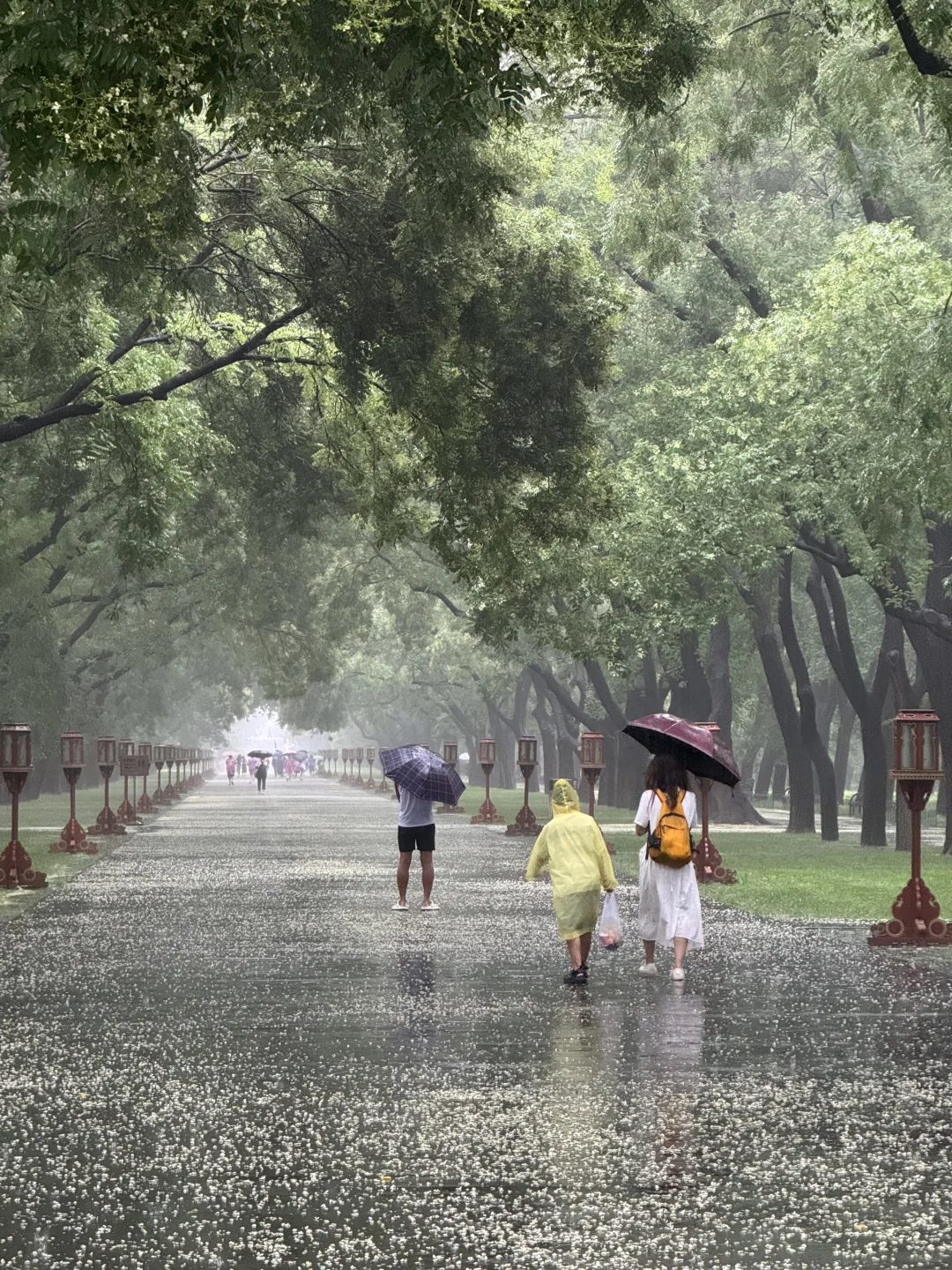 Reflections on wet cobblestones near West Gate in rainy weather