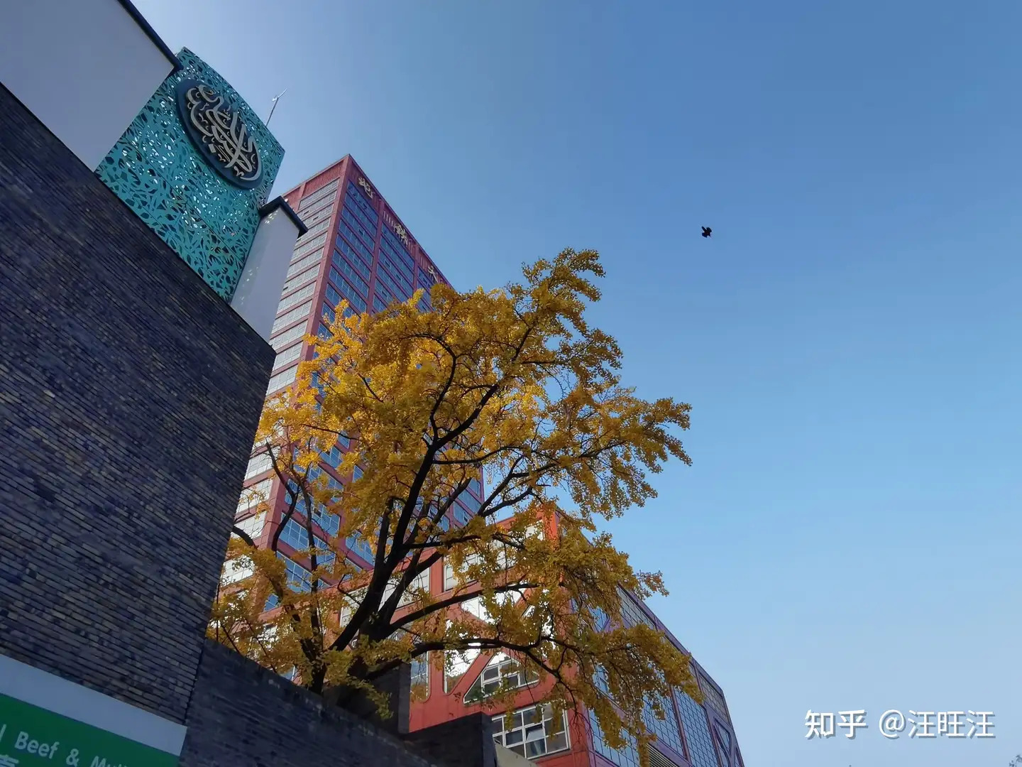 Nanjing city street with a red modern building, autumn leaves, and blue sky