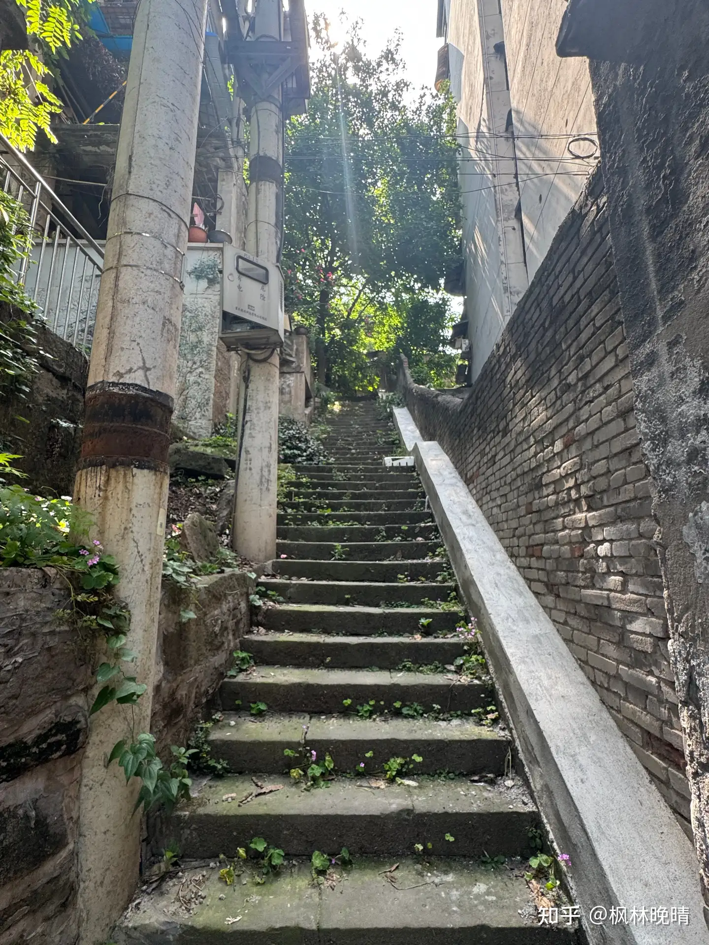 A steep stairway in a Chongqing neighborhood