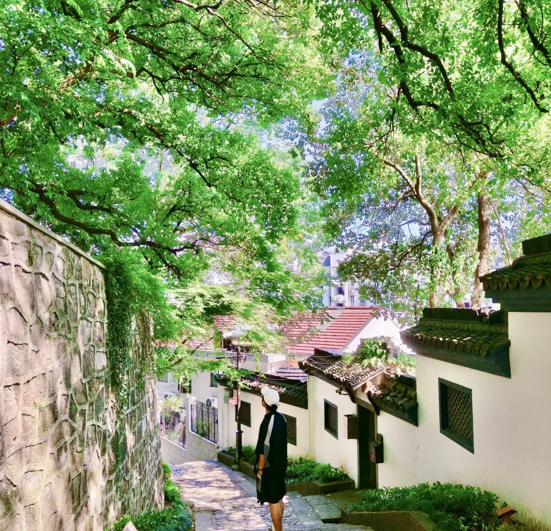 China City Walks: Hangzhou Hillside Lanes and Chongqing Stair Streets