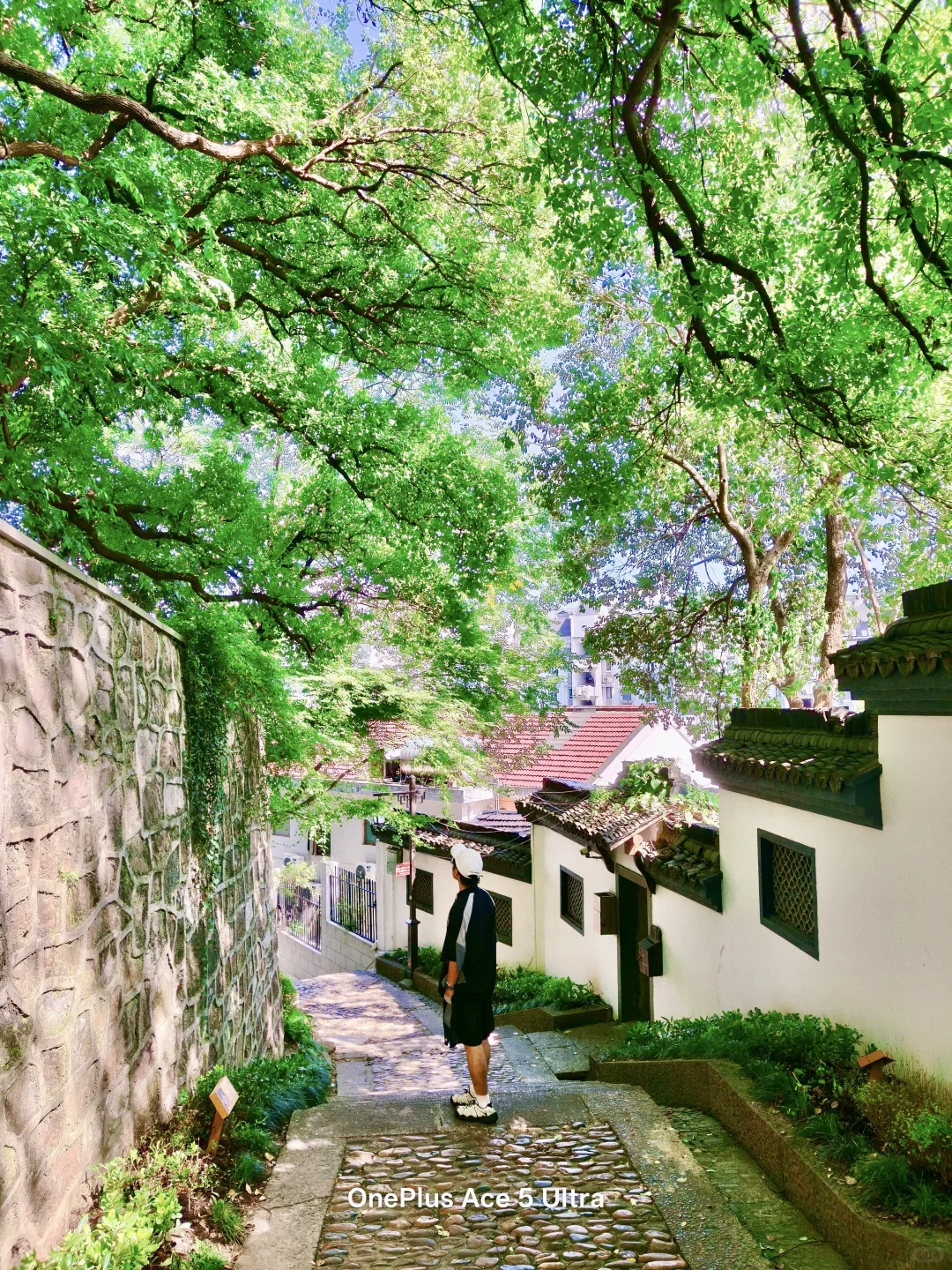 A shaded hillside lane on a Hangzhou city walk
